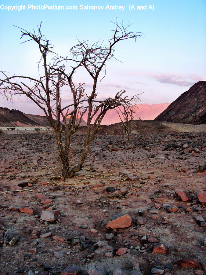 Soil, Rubble, Desert, Outdoors, Ground, Rock