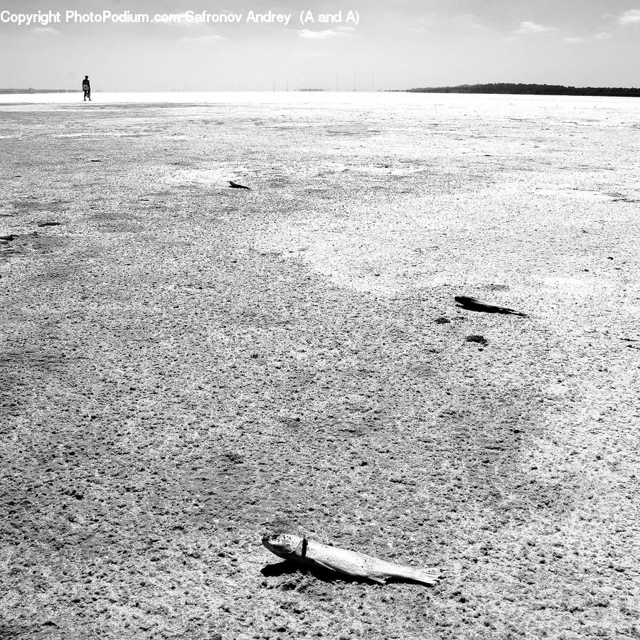Outdoors, Sand, Soil, Beach, Coast, Sea, Water