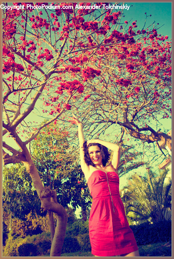People, Person, Human, Art, Female, Blossom, Cherry Blossom