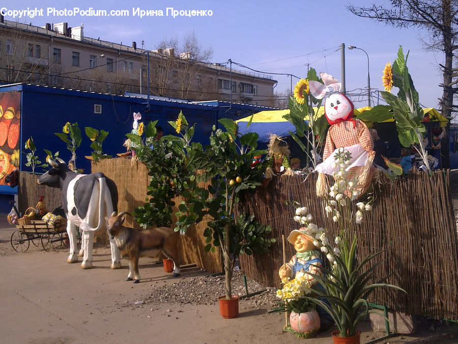 Plant, Potted Plant, Scarecrow, Animal, Cattle, Cow, Dairy Cow