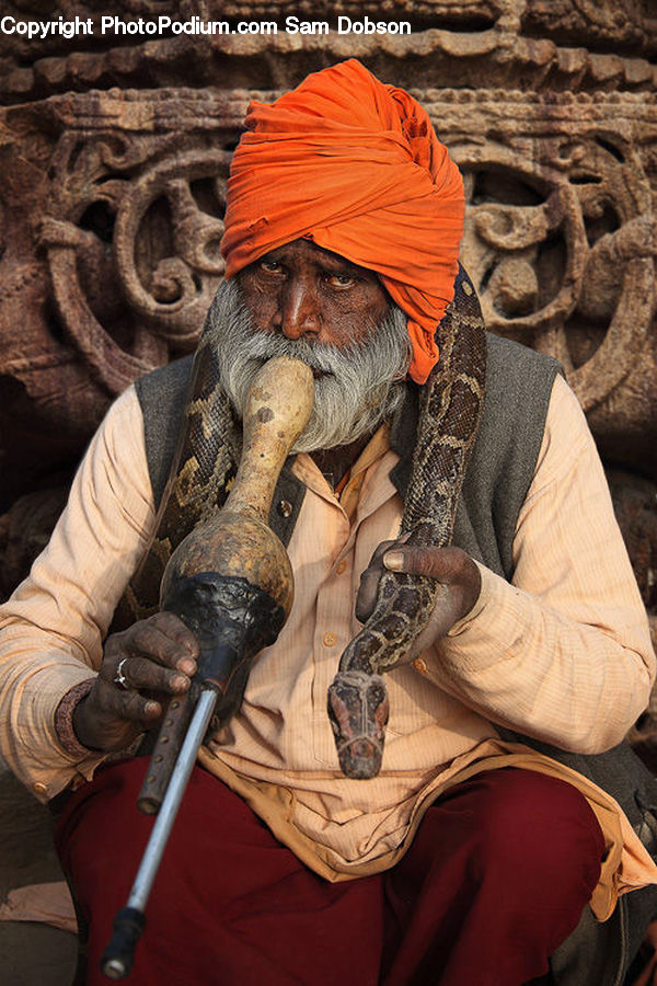 Cobra, Reptile, Snake, Construction, Costume