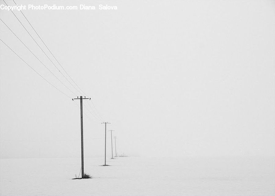 Pole