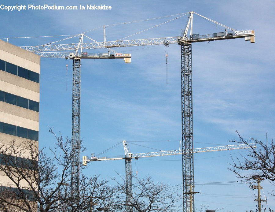 Constriction Crane, Construction, Bridge, Plant, Tree, Brick, City