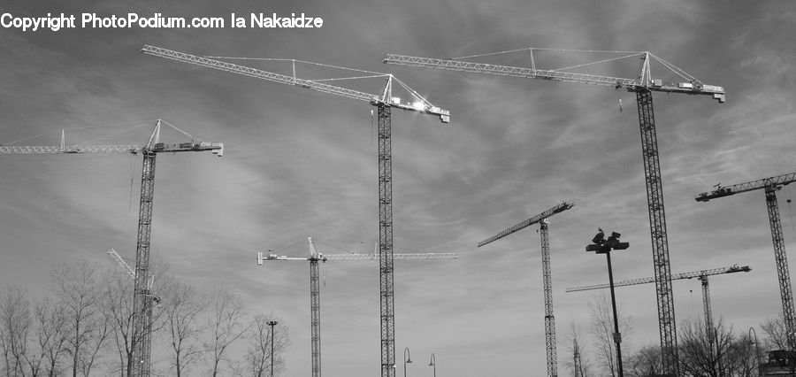 Constriction Crane