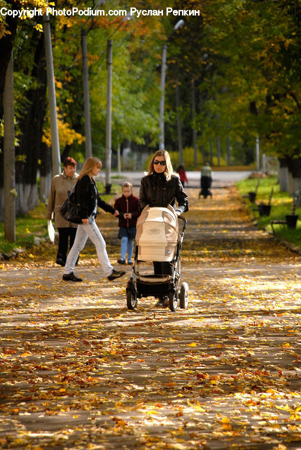 Human, People, Person, Leisure Activities, Walking, Bench, Exercise
