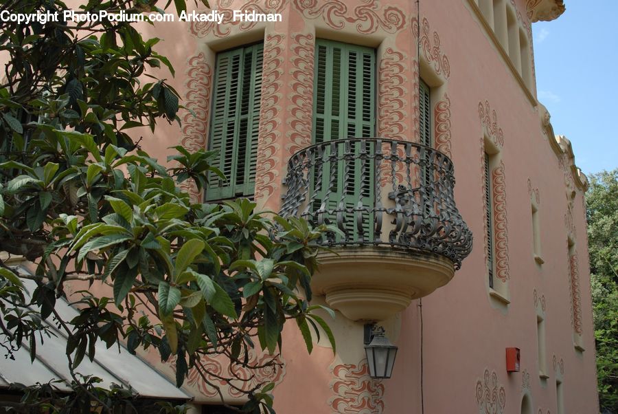 Plant, Potted Plant, Balcony, Building, Housing, Vegetation, Apartment Building