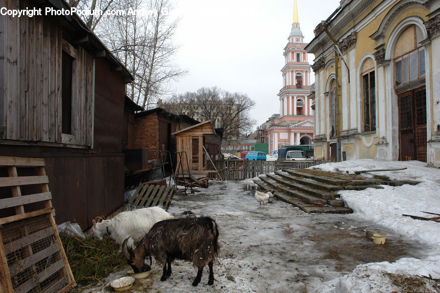 Cobblestone, Pavement, Walkway, Building, Cabin, Shelter, Architecture