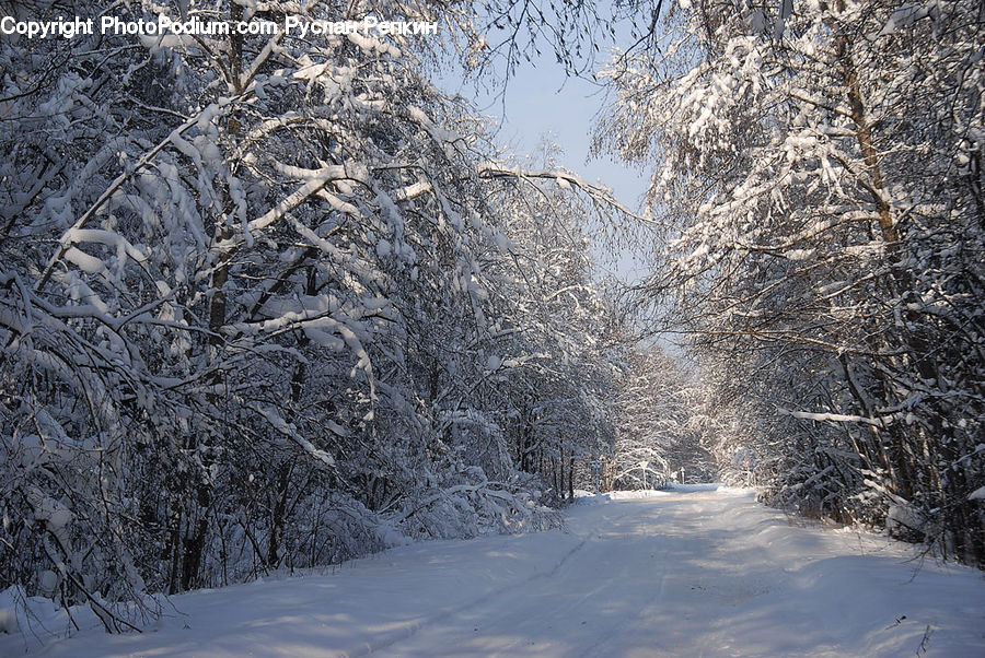 Blizzard, Outdoors, Snow, Weather, Winter, Landscape, Nature