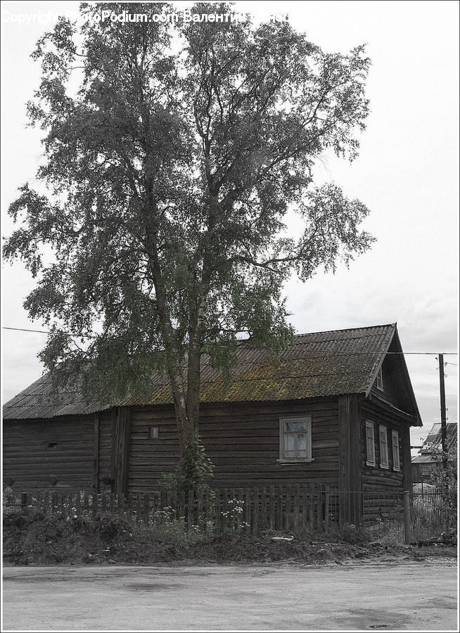Building, Cottage, Housing, Cabin, Hut, Rural, Shack