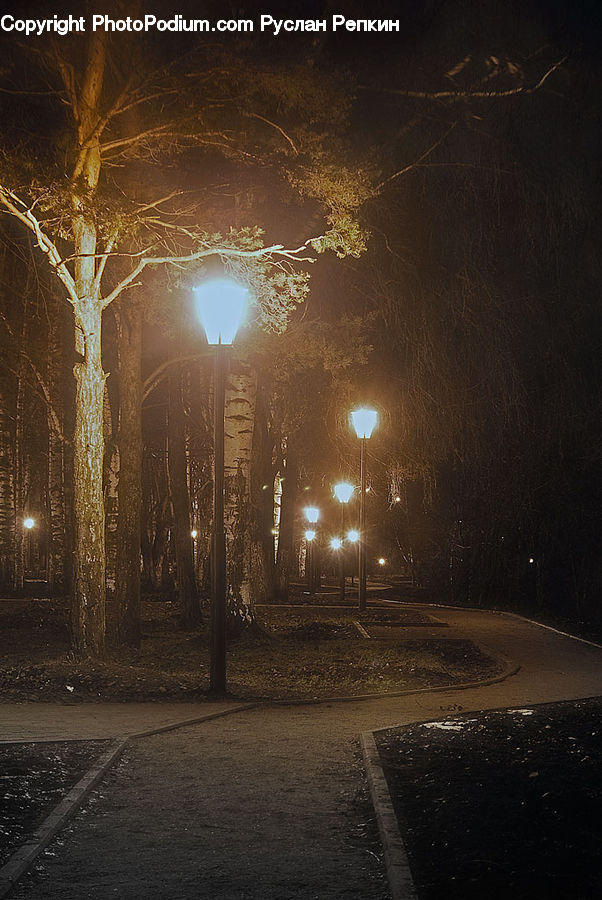 Asphalt, Tarmac, Lamp Post, Pole, Soil, Road, Ground