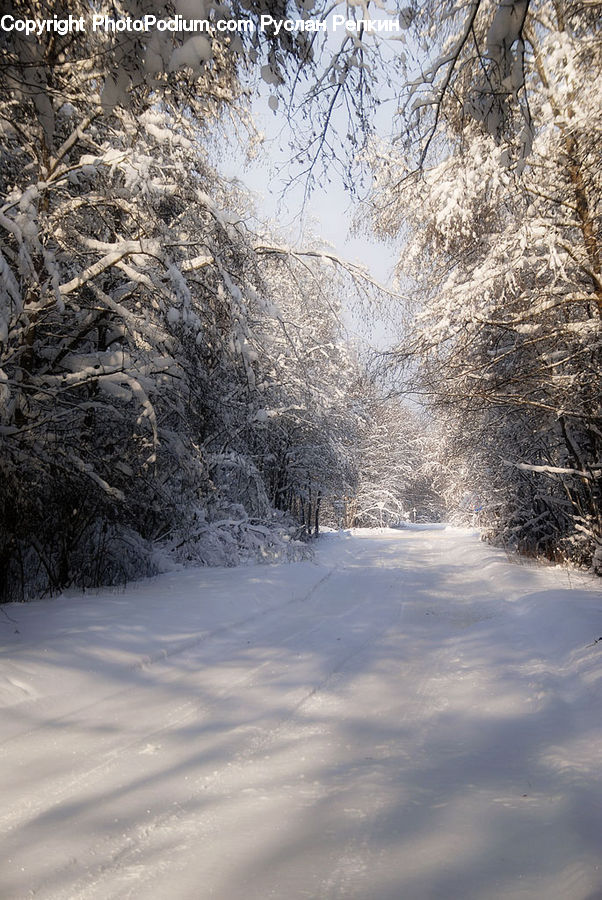 Landscape, Nature, Scenery, Dirt Road, Gravel, Road, Forest