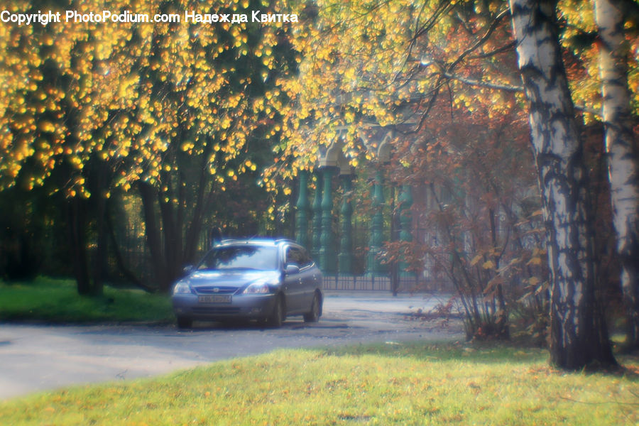 Automobile, Car, Vehicle, Dirt Road, Gravel, Road, Coupe