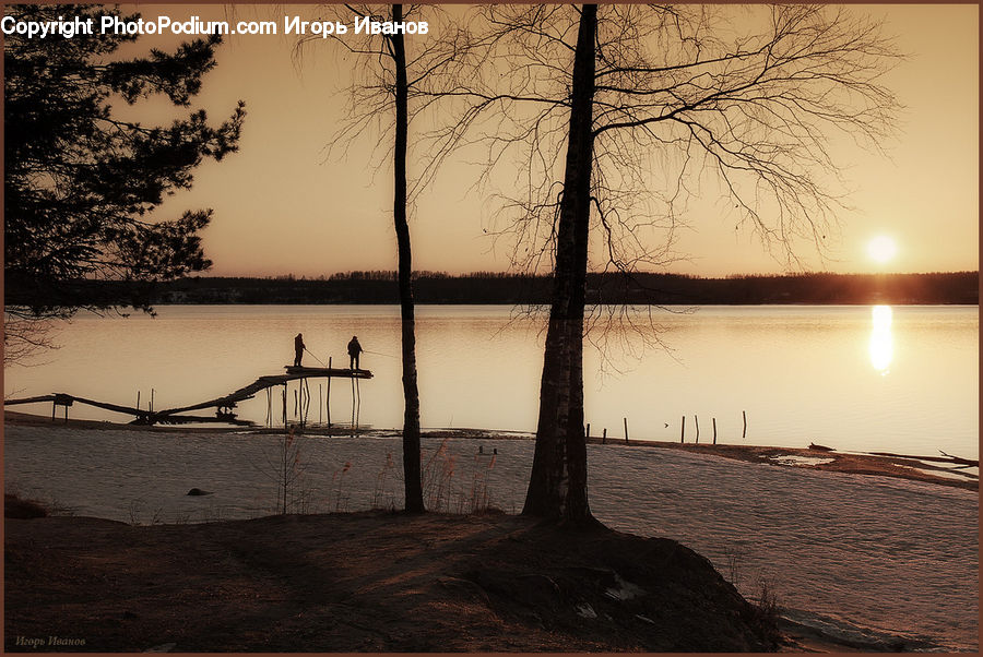 Dock, Landing, Pier, Plant, Tree, Landscape, Nature