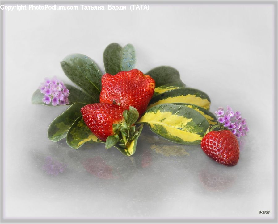 Fruit, Strawberry, Dessert, Food, Accessories, Plant, Watermelon