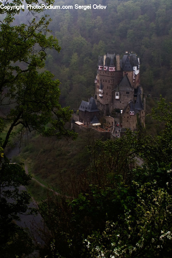 Architecture, Castle, Fort, People, Person, Human, Forest