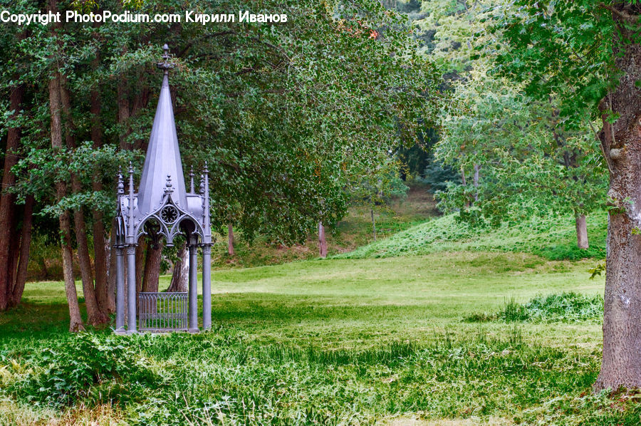 Herbal, Herbs, Plant, Planter, Architecture, Cathedral, Church