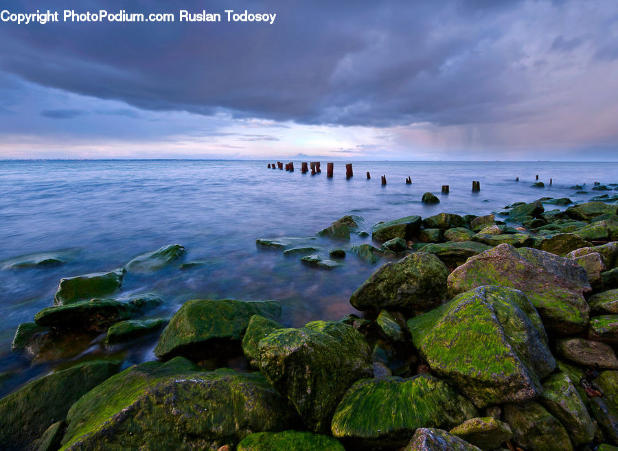 Algae, Rock, Coast, Outdoors, Sea, Water, Ocean