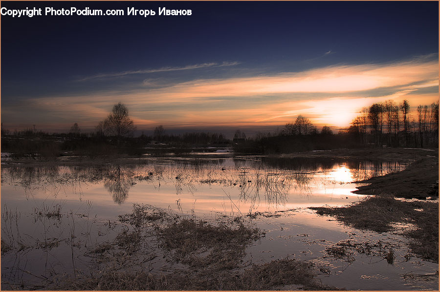 Land, Marsh, Outdoors, Swamp, Water, Pond, Dawn