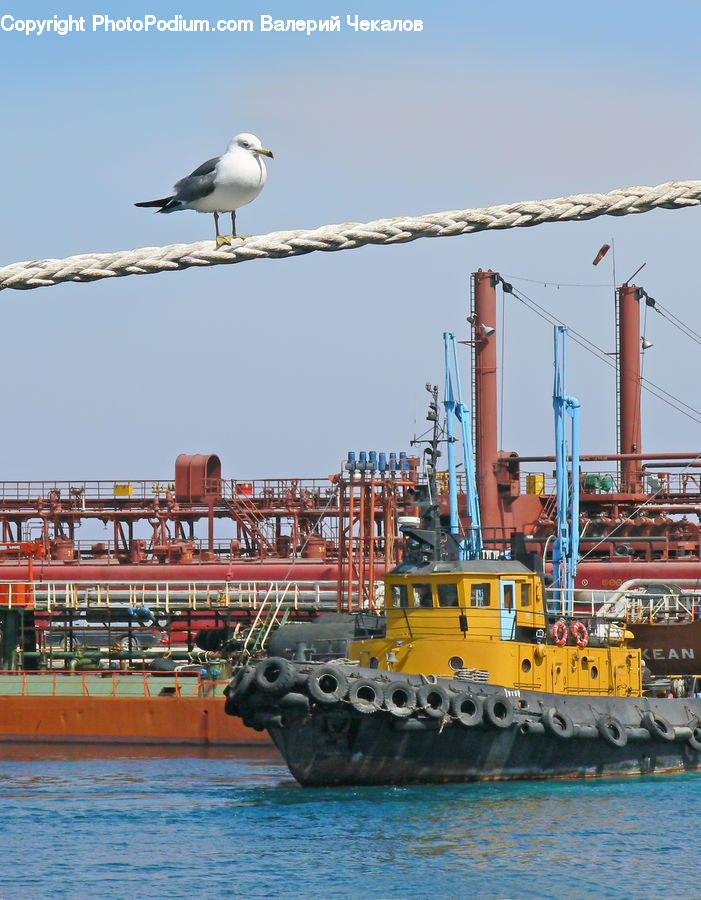 Boat, Watercraft, Factory, Barge, Tugboat, Shipping Container, Constriction Crane