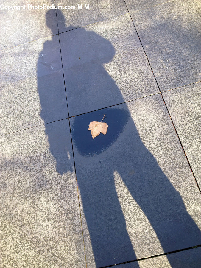 Pavement