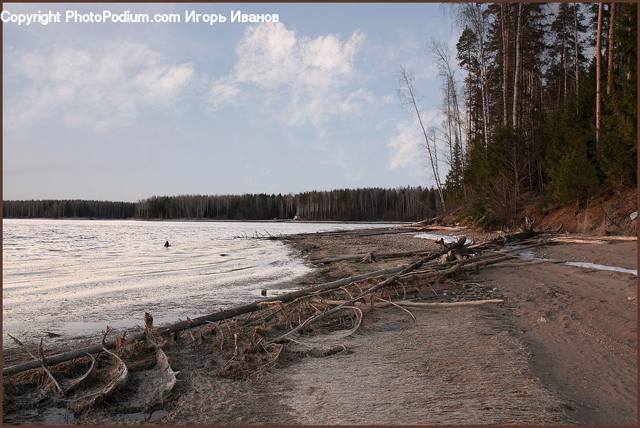 Flood, Soil, Dirt Road, Gravel, Road, Landscape, Nature