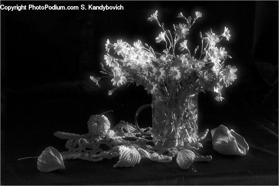 Night, Outdoors, Leaf, Plant, Rock, Blossom, Flora