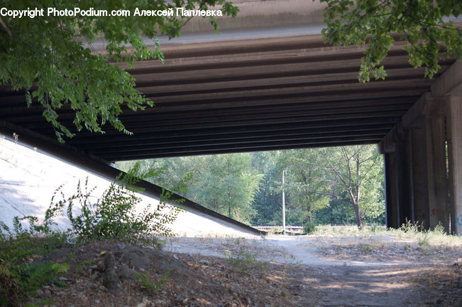 Freeway, Overpass, Herbal, Herbs, Plant, Planter, Bonsai
