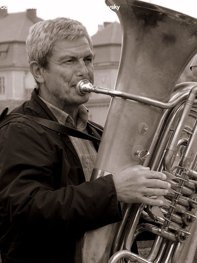 Human, People, Person, Brass Section, Euphonium, Musical Instrument, Tuba