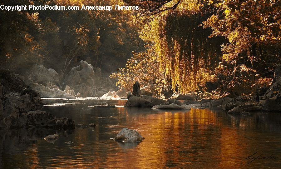 Outdoors, River, Water, Cliff, Mountain, Night, Bird