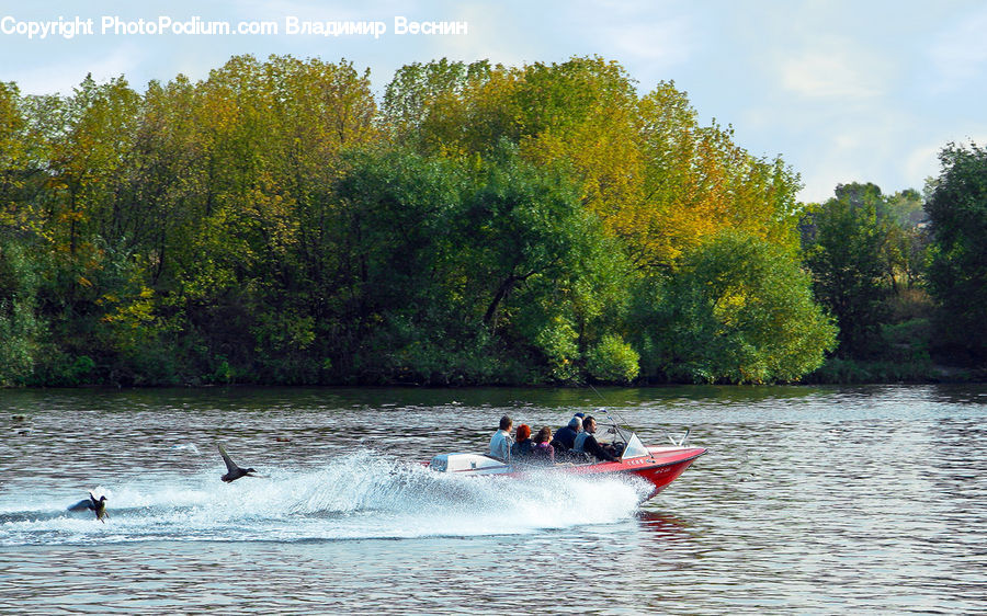 Boat, Canoe, Rowboat, Dinghy, Leisure Activities
