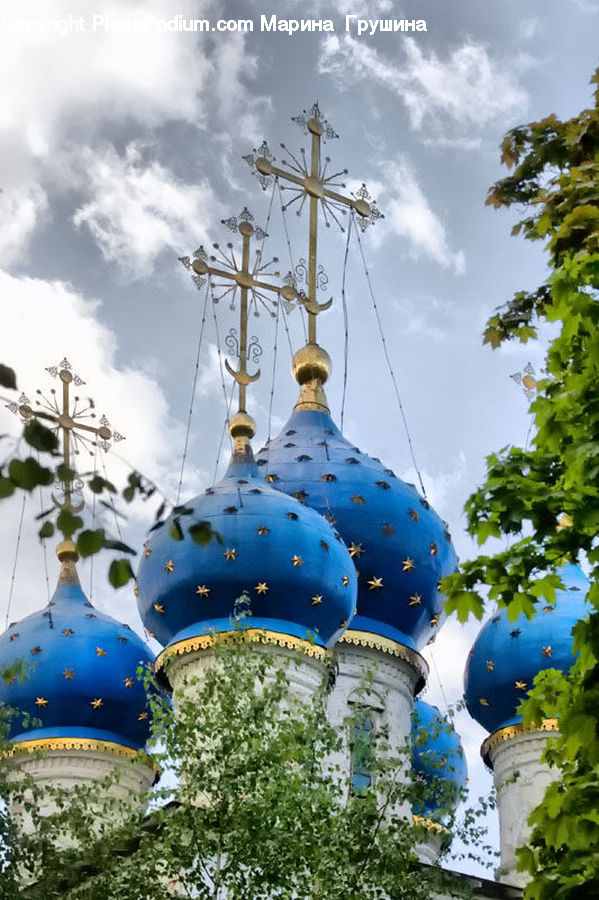 Plant, Vine, Architecture, Dome, Ship, Vessel, Herbs