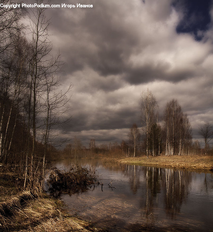 Land, Marsh, Pond, Swamp, Water, Flood, Field