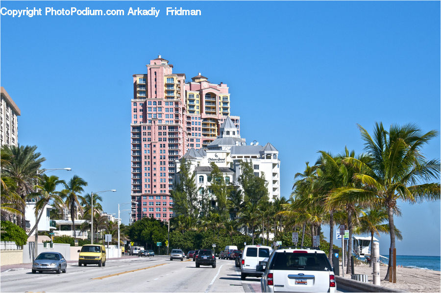 Building, Housing, Palm Tree, Plant, Tree, City, High Rise