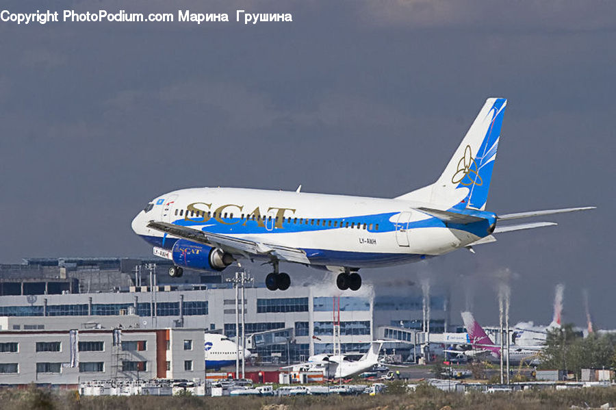 Aircraft, Airplane, Airliner, Flight, Jet, City, Downtown