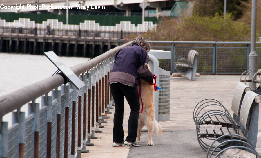 Human, People, Person, Bench, Leisure Activities, Clothing, Denim