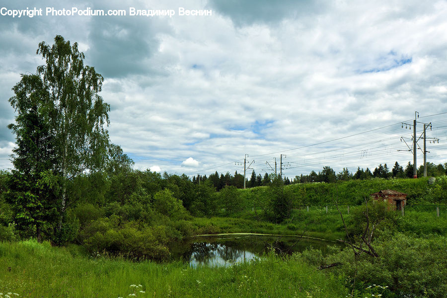 Field, Grass, Grassland, Land, Outdoors, Marsh, Pond