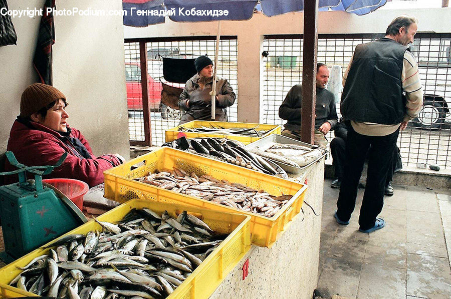 Human, People, Person, Food, Seafood, Rubble, Bazaar