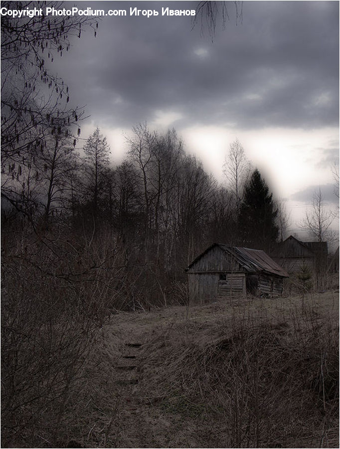 Cabin, Hut, Rural, Shack, Shelter, Countryside, Field
