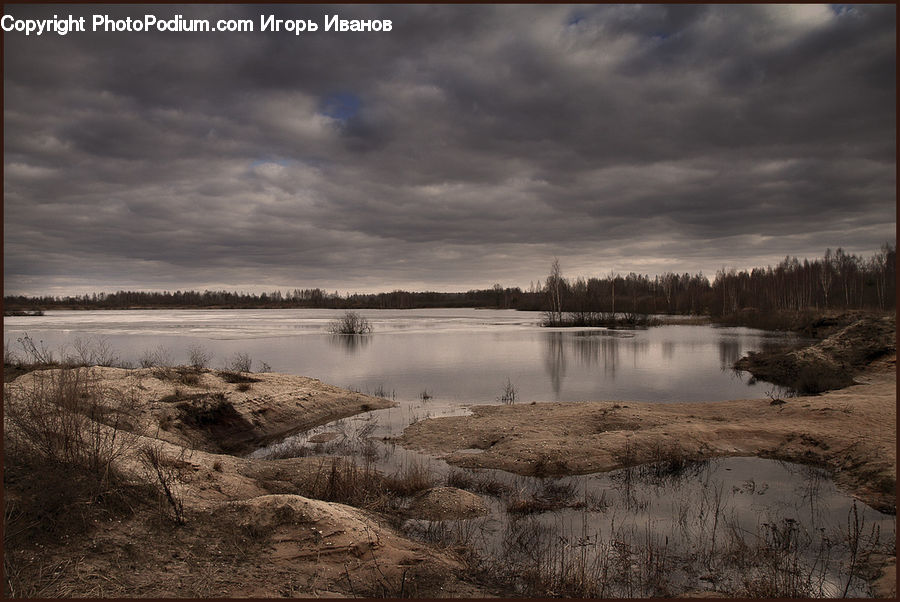 Land, Marsh, Pond, Swamp, Water, Field, Grass