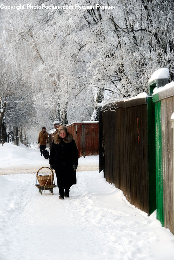 Human, People, Person, Sled, Cabin, Hut, Rural