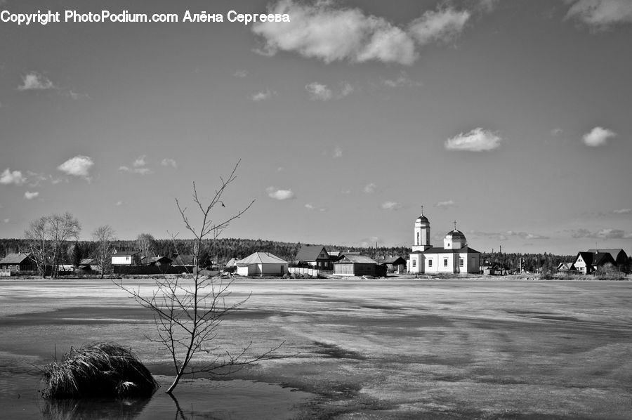 Grass, Plant, Reed, Downtown, Neighborhood, Town, Building