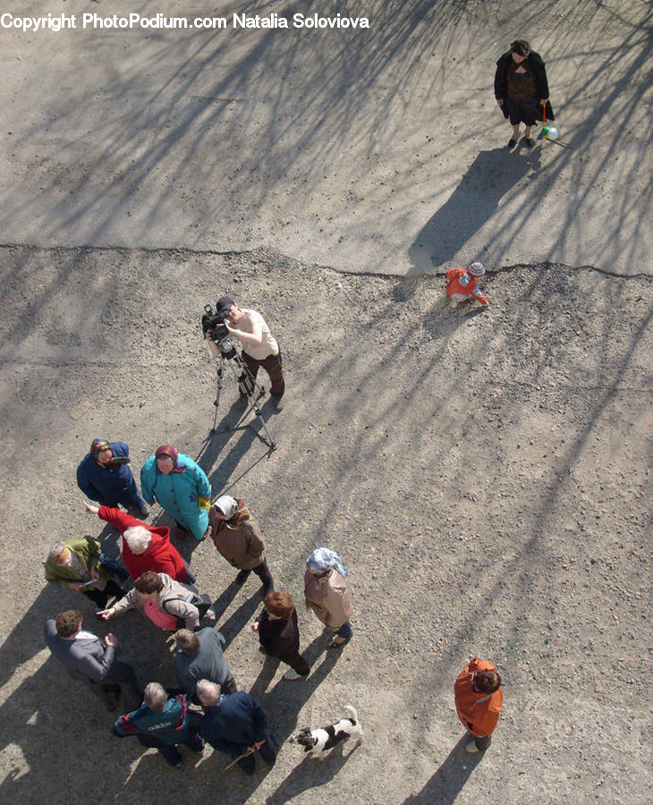 People, Person, Human, Adventure, Climbing, Rock Climbing, Sport