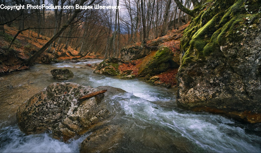 Creek, Outdoors, River, Water, Rock, Wilderness, Soil