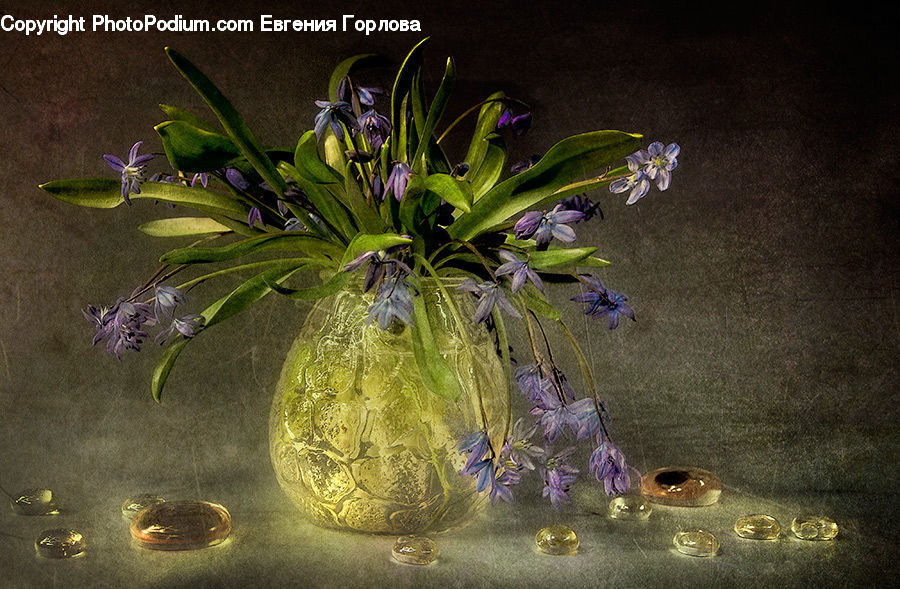 Glass, Bling, Blossom, Flora, Flower, Geranium, Plant