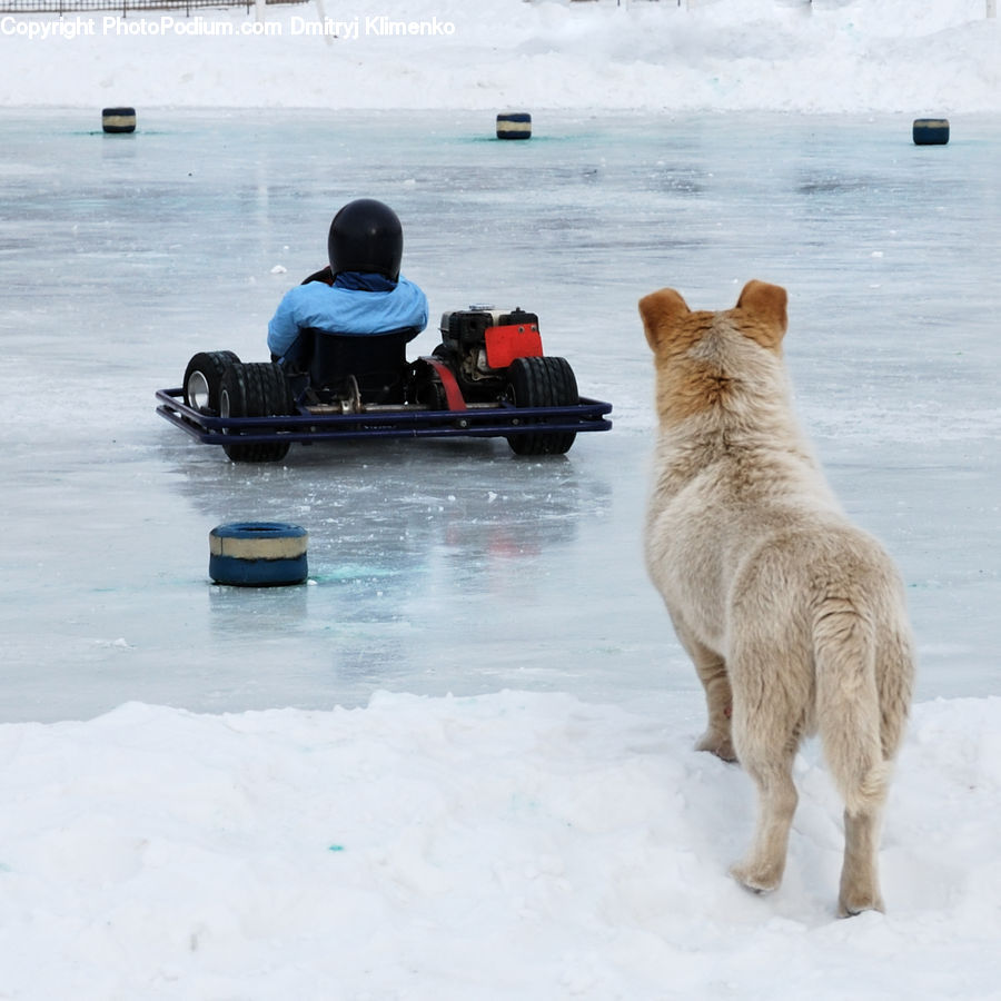 People, Person, Human, Boat, Watercraft, Bulldozer, Snowplow