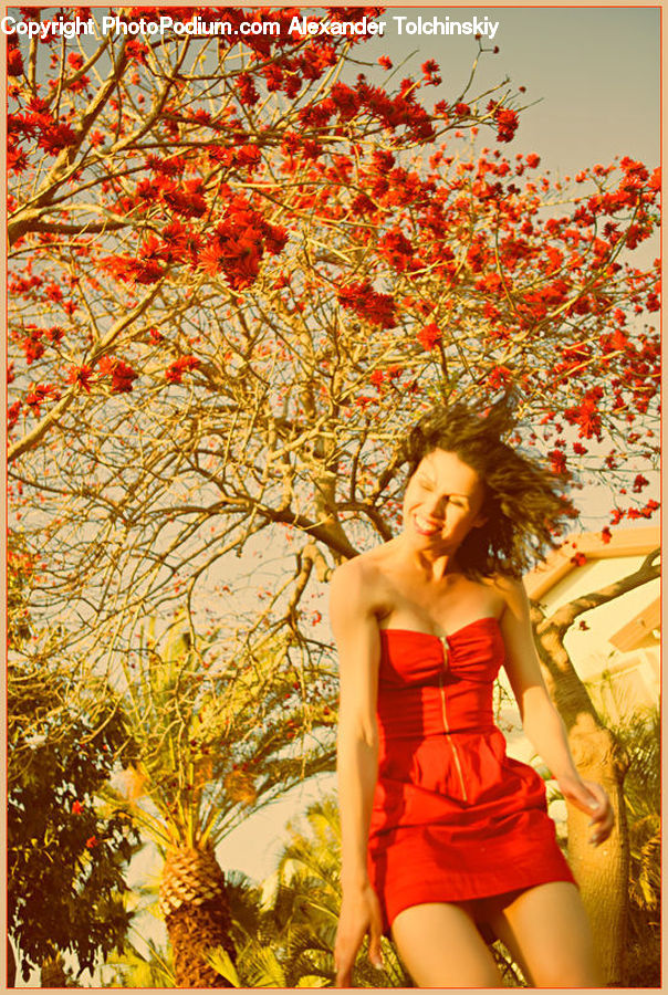 People, Person, Human, Blossom, Flora, Flower, Plant