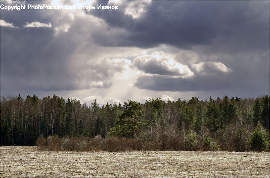 Cloud, Cumulus, Sky, Azure Sky, Outdoors, Dirt Road, Gravel