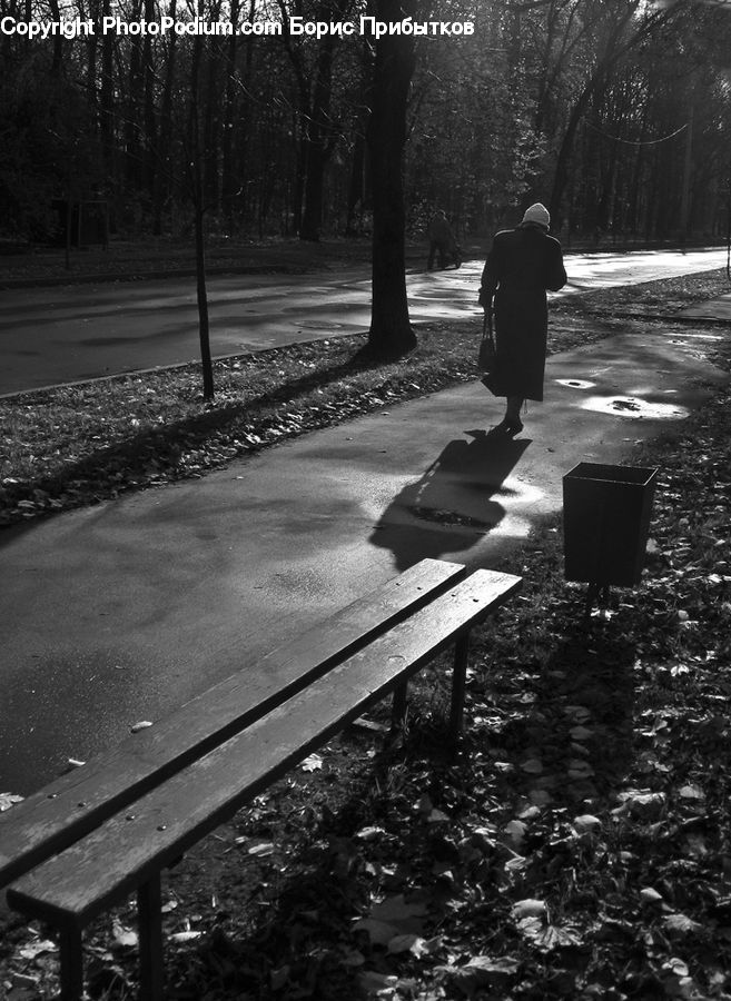 People, Person, Human, Bench, Soil, Park, Fir