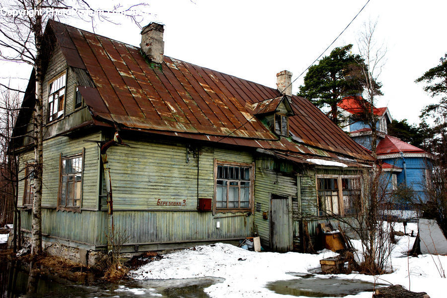 Cabin, Hut, Rural, Shack, Shelter, Plant, Tree