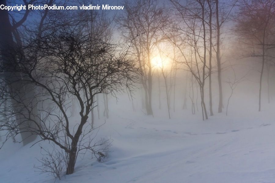 Blizzard, Outdoors, Snow, Weather, Winter, Ice, Landscape